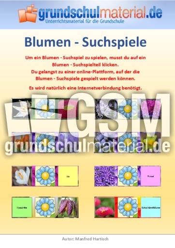 Blumen-Suchspiele.pdf